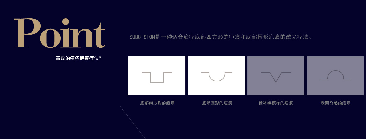 써브시전