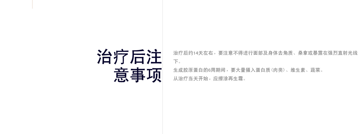써브시전