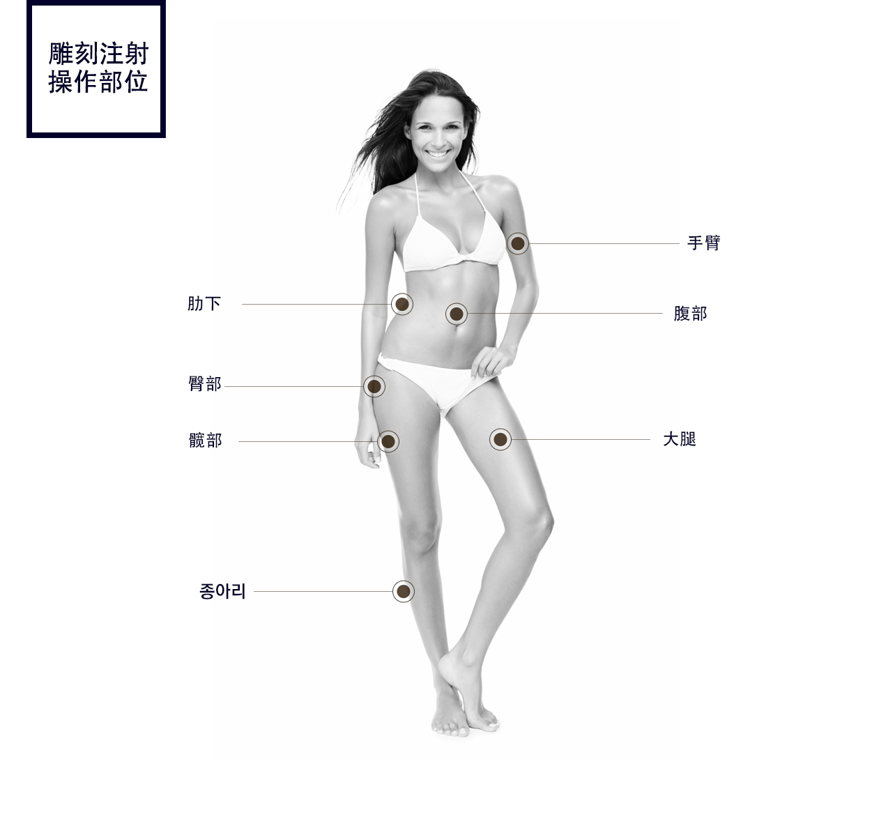 비앤바비조각주사